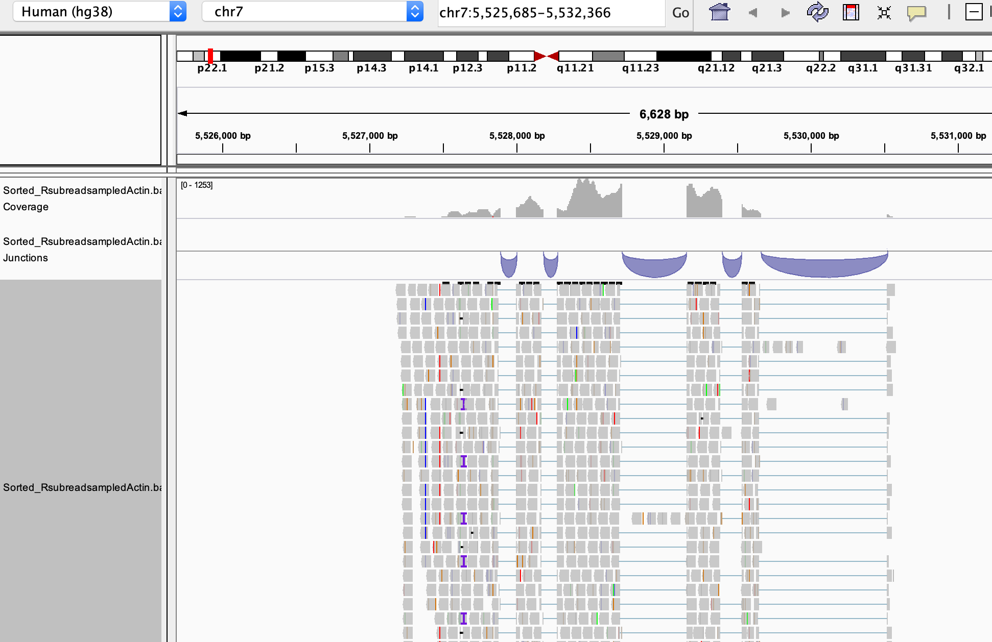 AlignmentInBioconductor.knit