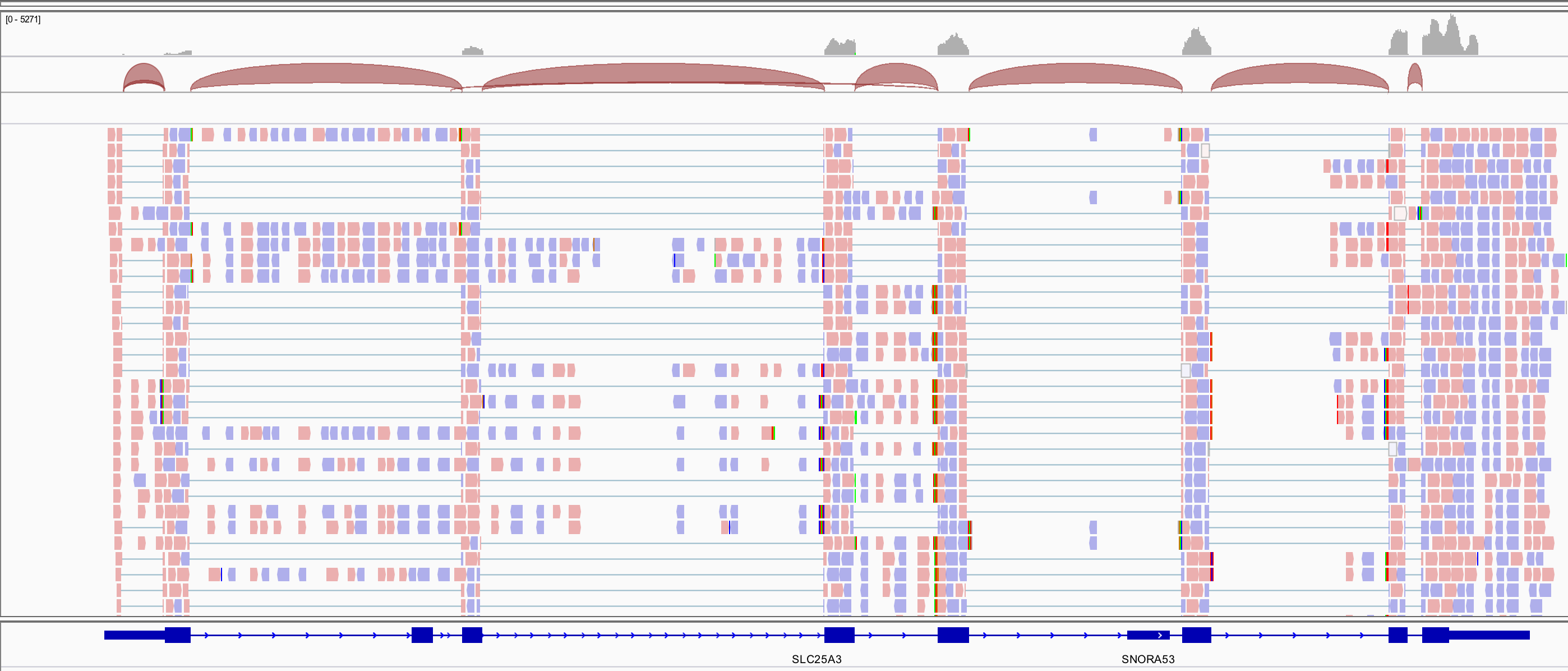 AlignmentInBioconductor.knit