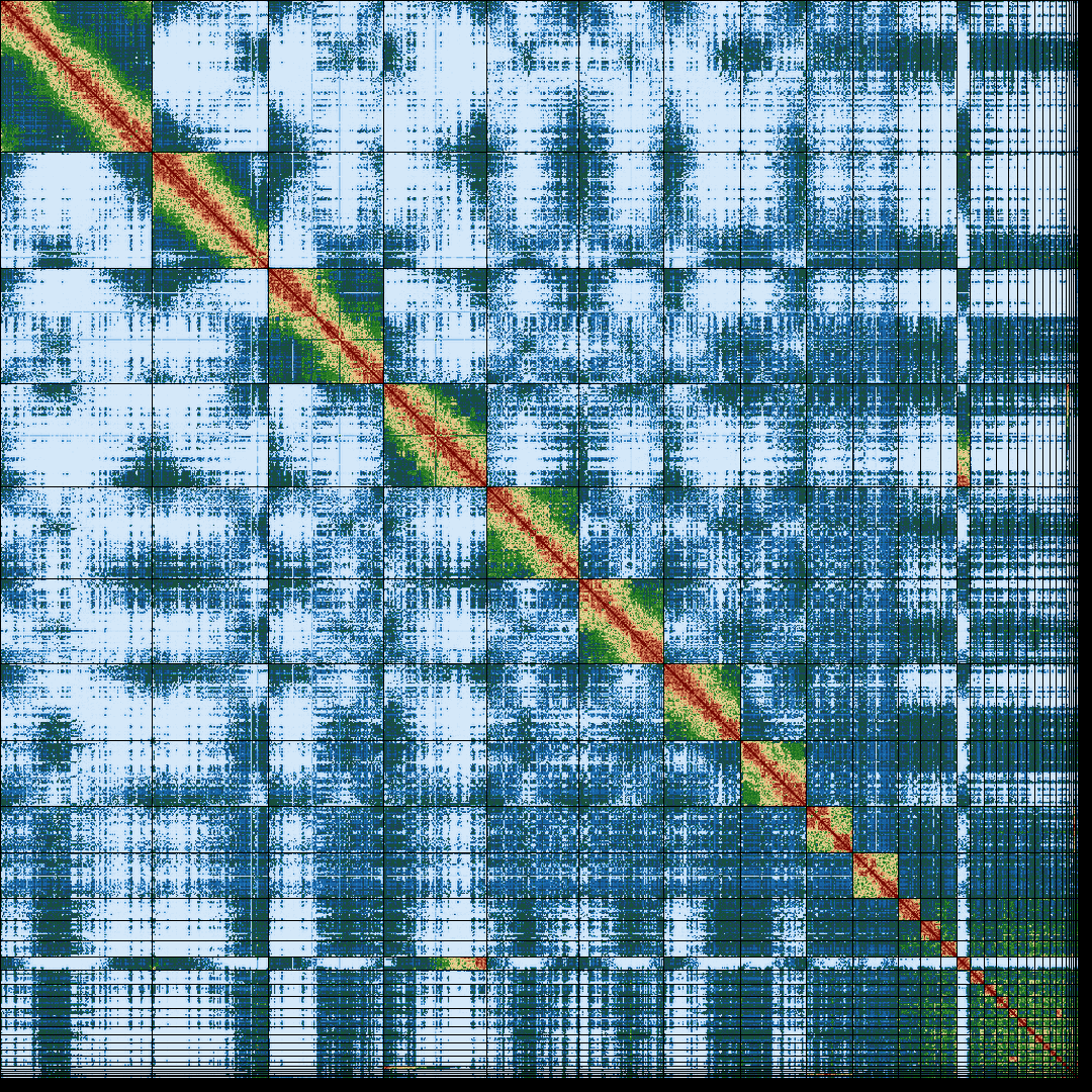 genomeGraph/library.bib at master · hsnguyen/genomeGraph · GitHub