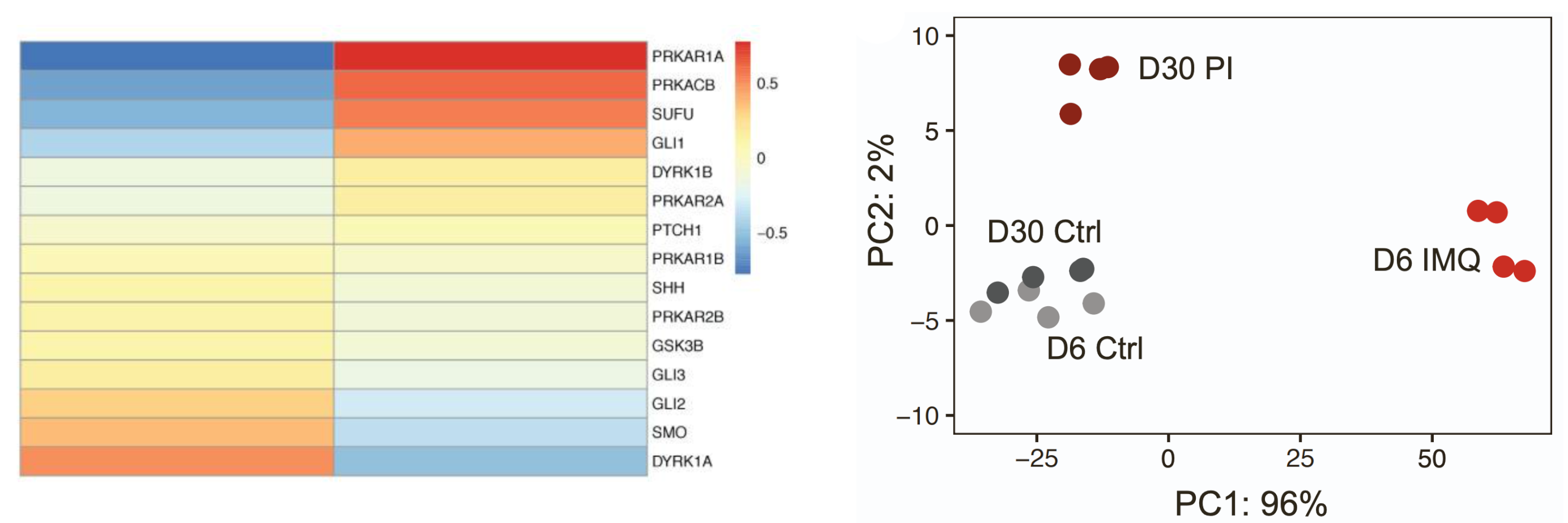 rnaseqplots