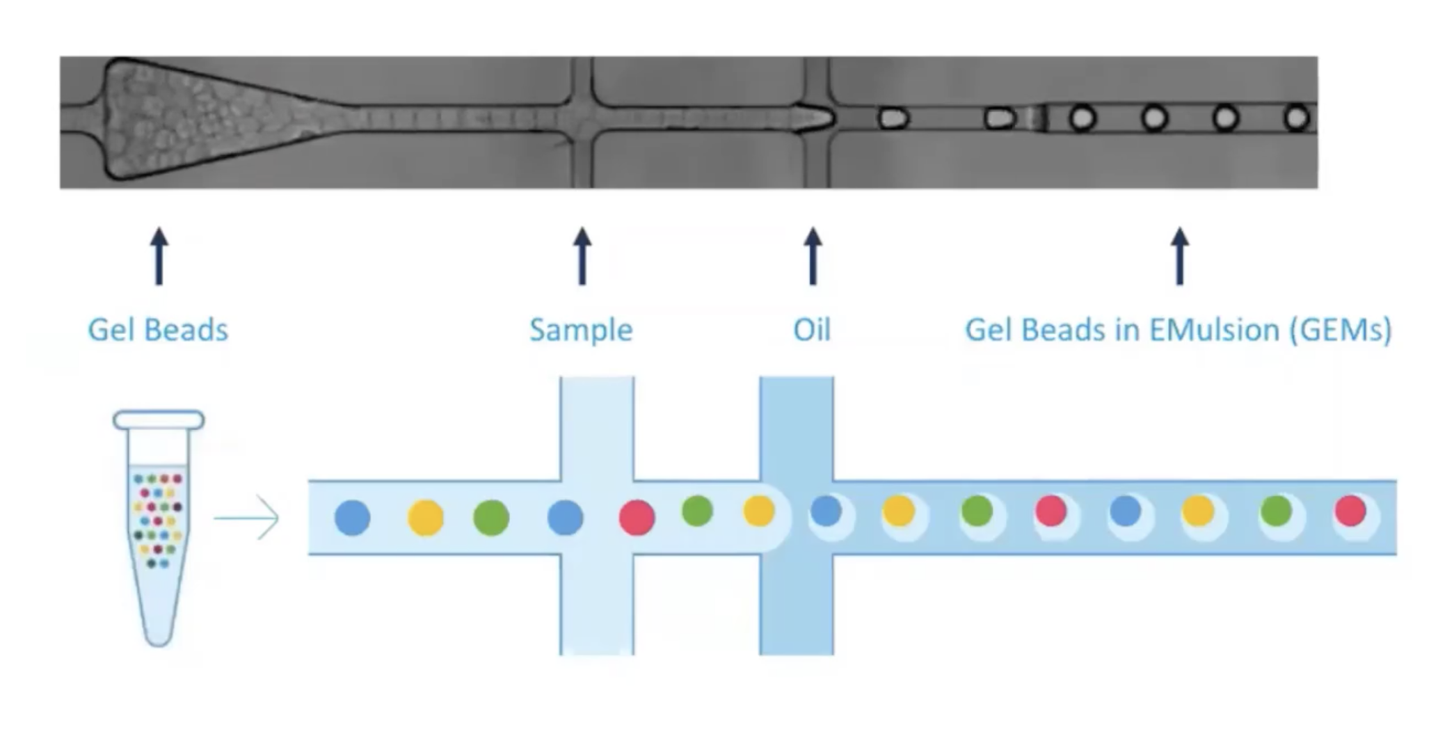 Microfluidics