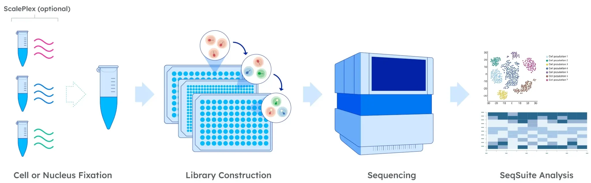 scalebio